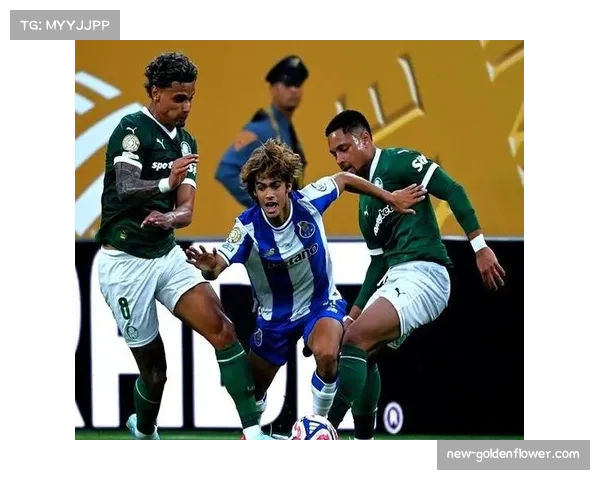 帕尔梅拉斯后卫古斯塔沃·戈麦斯受伤 后防面临重组